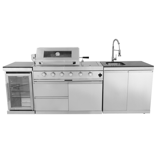 Limpiador de oídos con cámara